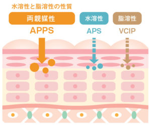 APPS 両親媒性ビタミンC