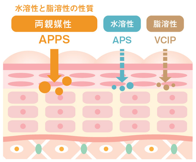 APPS 両親媒性ビタミンC
